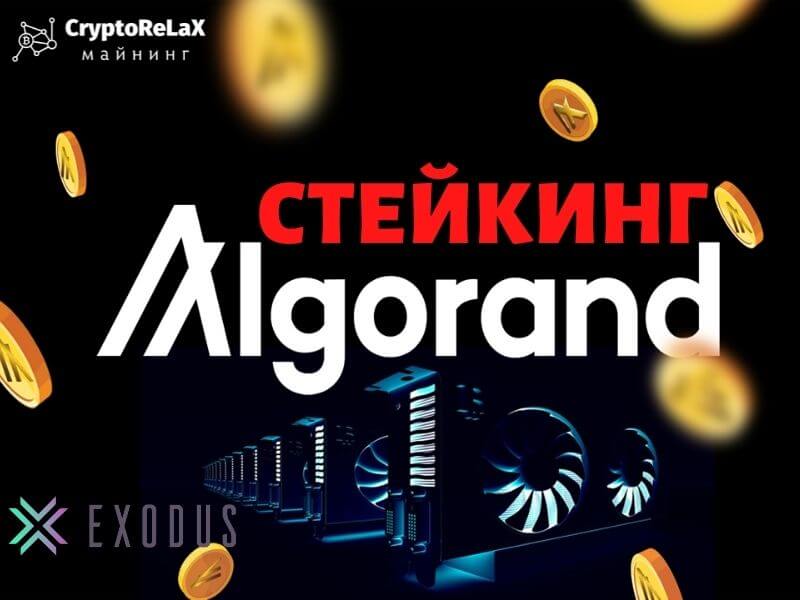 Стейкинг криптовалюты Algorand в Exodus