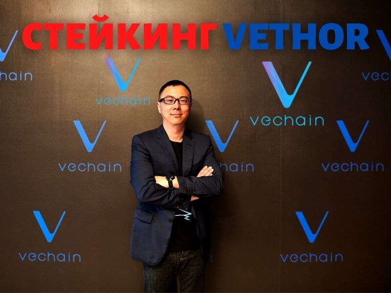 Стейкинг криптовалюты VeChain VeThor в кошельке Exodus